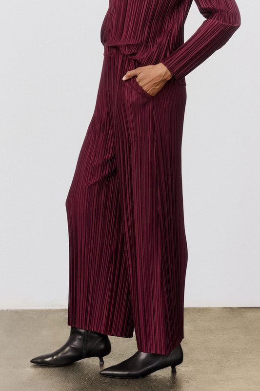 Relaxed Pleated Pants