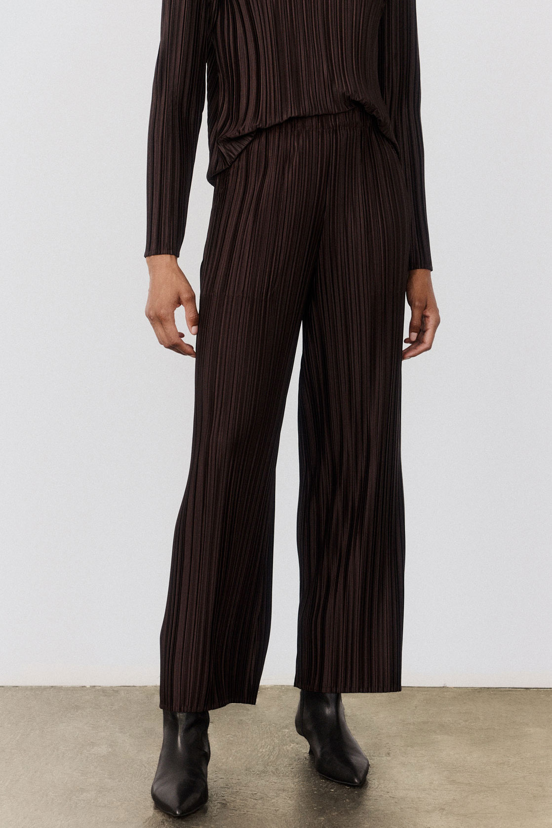 Relaxed Pleated Pants