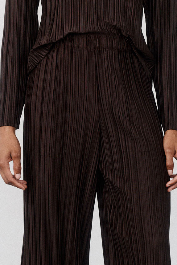 Relaxed Pleated Pants