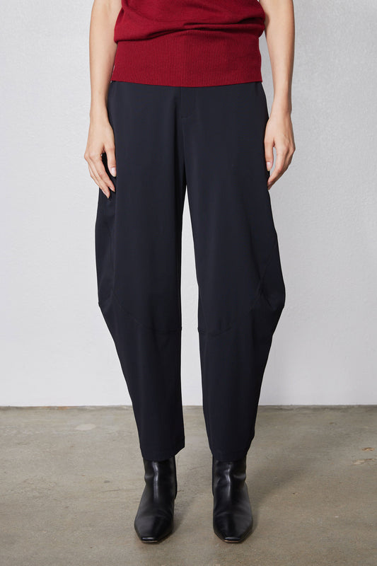 Wide-ish dark navy pants with pleated front and tapered wide legs